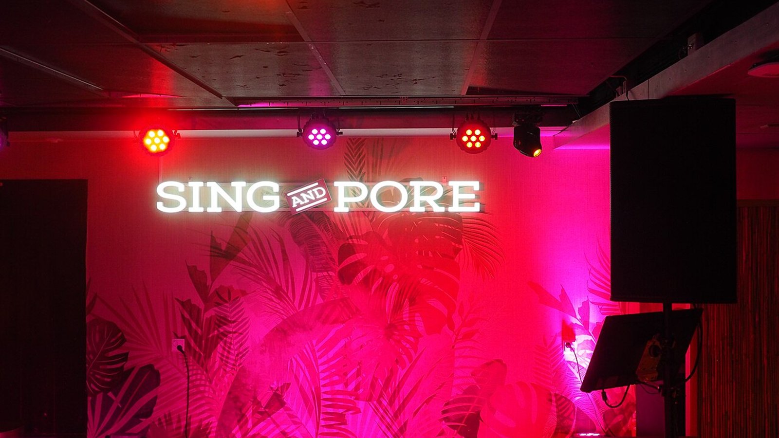 Sing Sing Karaoke St Marks卡拉 OK 舞台氛围示意图