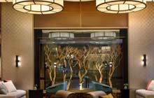 The&nbsp;Muse&nbsp;New&nbsp;York