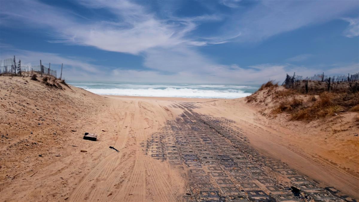 Hamptons North Fork 三日游